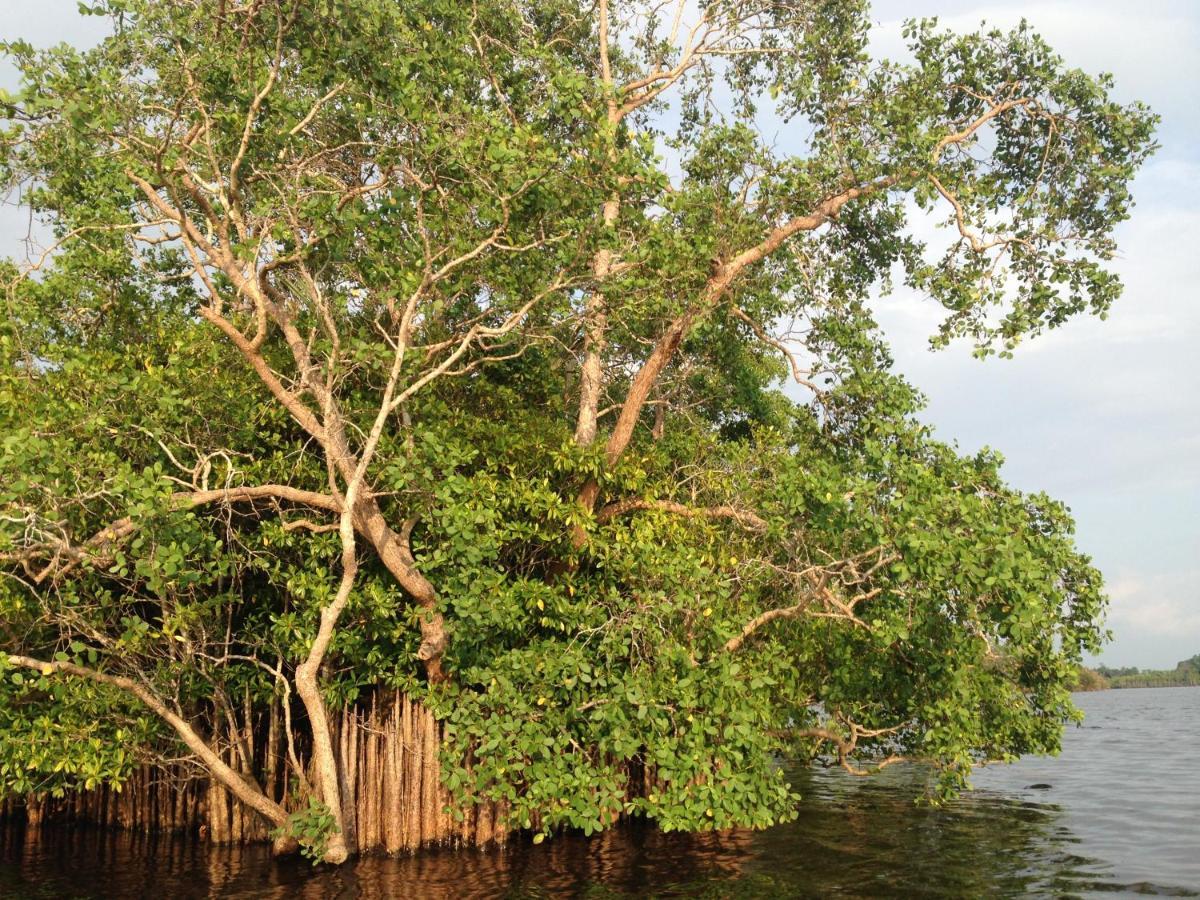 Lake Life Villa أمبالانغودا المظهر الخارجي الصورة
