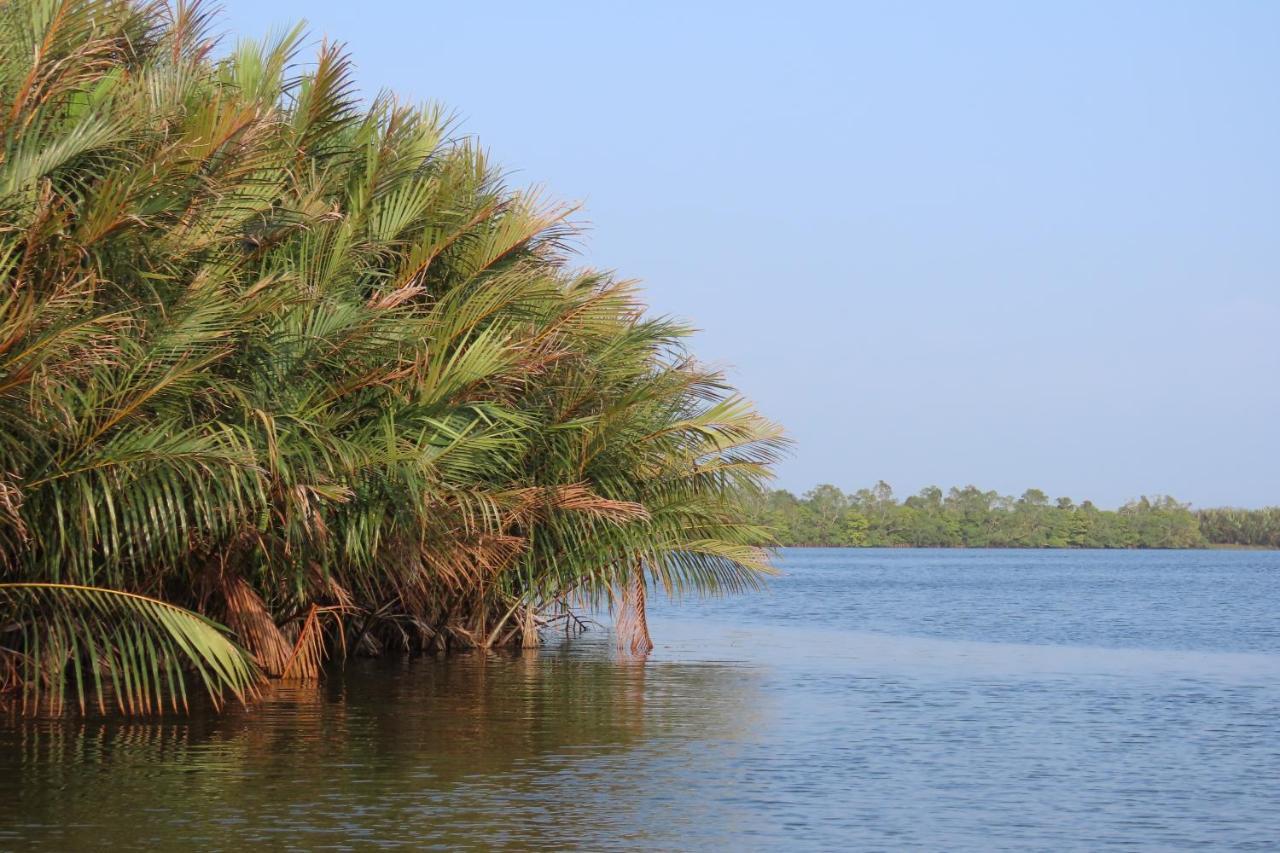 Lake Life Villa أمبالانغودا المظهر الخارجي الصورة