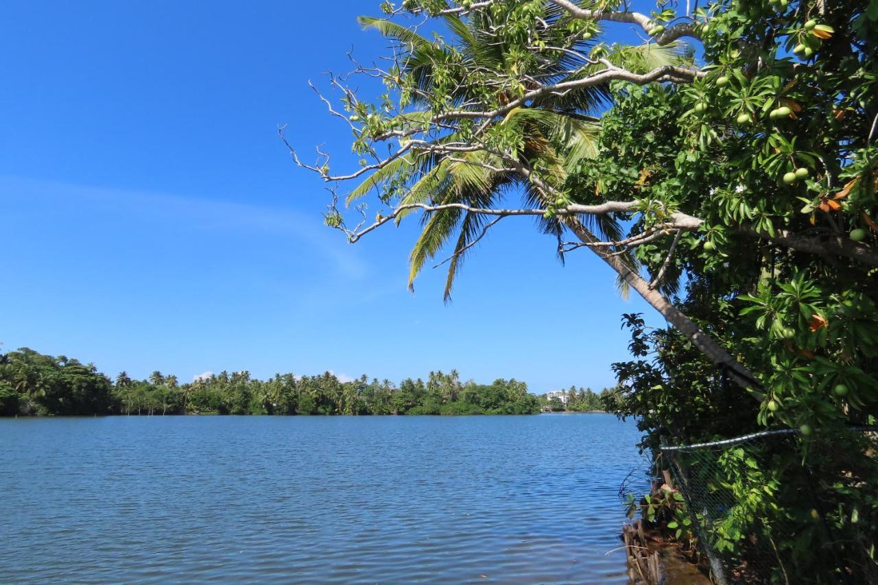 Lake Life Villa أمبالانغودا المظهر الخارجي الصورة